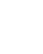 Icon DIgital Wallet