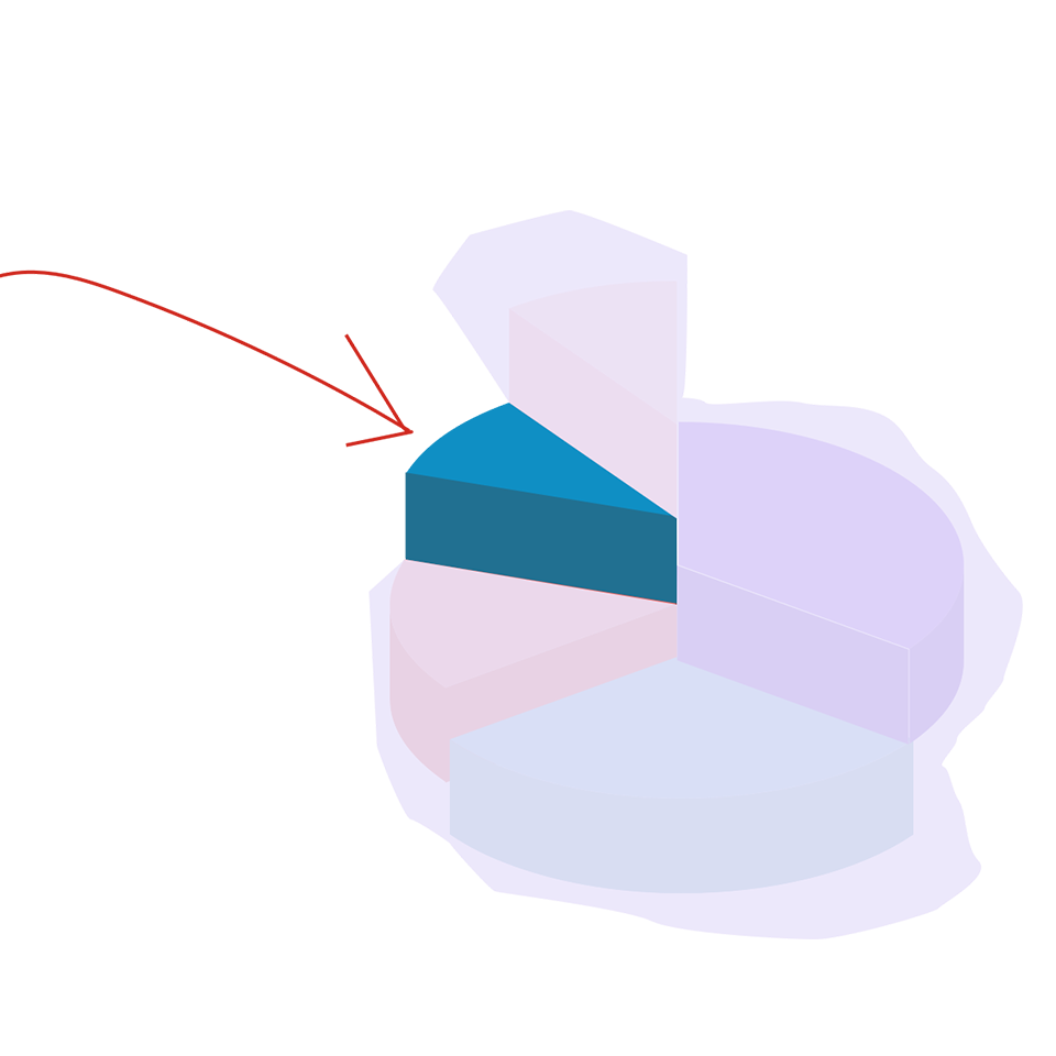 pie chart showing portion of piece that influences FICO score