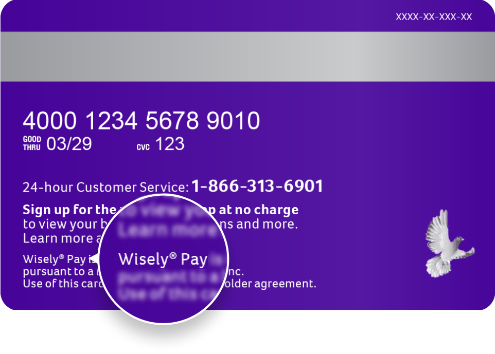 Wisely Pay card